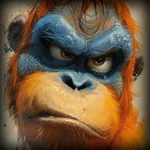 avatar utilisateur